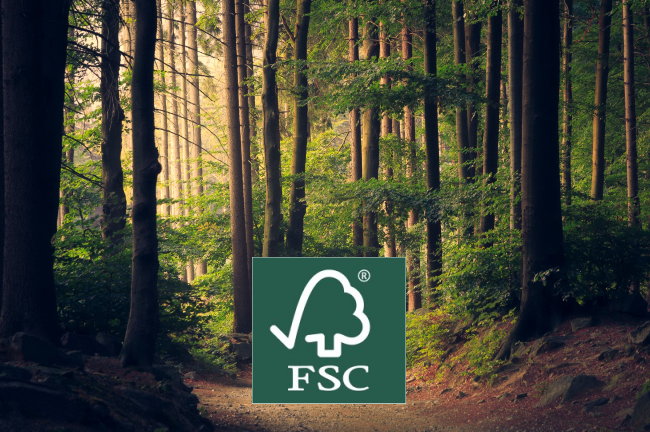 FSC keurmerk voor duurzaam hout uit verantwoord bosbeheer - FSC logo & Lukasz Szmigiel, Unsplash